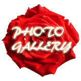 photo gallery